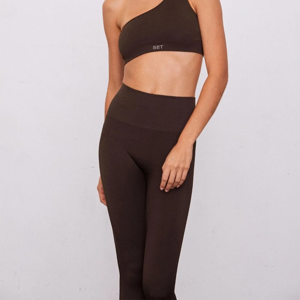SET Active Brown Leggings